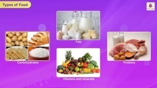 'Healthy Foods | Science for Kids | Grade 3 | Periwinkle'