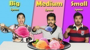 'Big Vs Medium Vs Small Spoon Food Challenge | Hungry Birds'