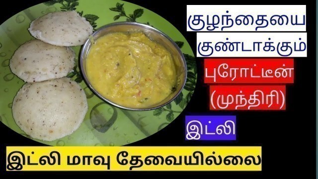 '1 year baby breakfast recipes in tamil/protein idli for babies and toddlers/pranesh mommy cashewidli'
