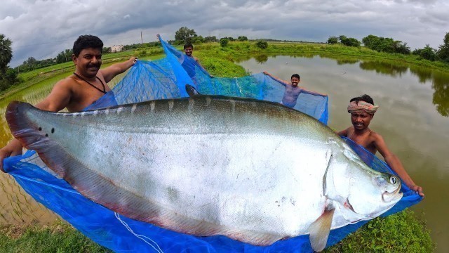 'Village fishing and Cooking video | Catch Big fish | Village Cooking & Picnic'