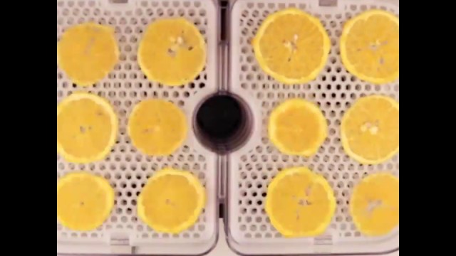 'How To Make Dried Orange - 3mm - Himmel Food Dehydrator V2'