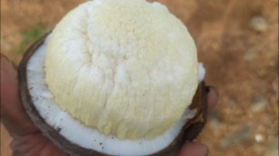 'coconut flower/health benefits in tamil#street food#natural'