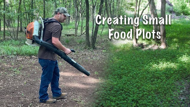 'No Equipment Small Food Plot | Rural King Tips'