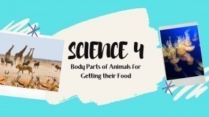 'SCIENCE 4 || BODY PARTS OF ANIMALS FOR GETTING THEIR FOOD'