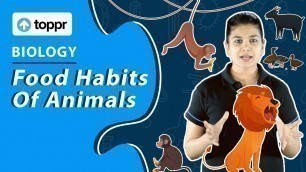 'Food Habits of Animals | Food | Class 6 Science Biology'