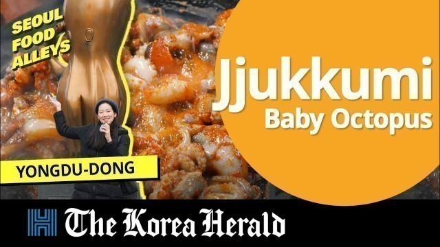 '[Seoul Food Alley] Street for Korean Spicy Octopus, Jjukkumi'