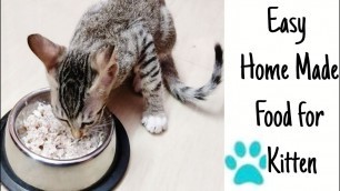 'EASY HOME MADE KITTEN FOOD IN TAMIL | PERSIAN & INDIE KITTEN FOOD RECIPE TAMIL | ARYA THE FAIRY CAT'
