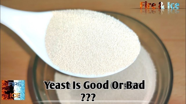 'Amazing nutritional benifits of yeast | how to use in food  | tamil | fire and ice'