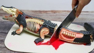 'Crocodile cutting yummy unusual Weird Foods #17'