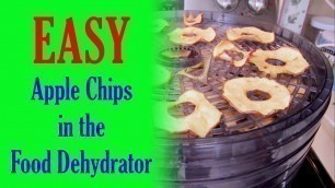 'Apple Chips Homemade - Food Dehydrator Apple Chips'