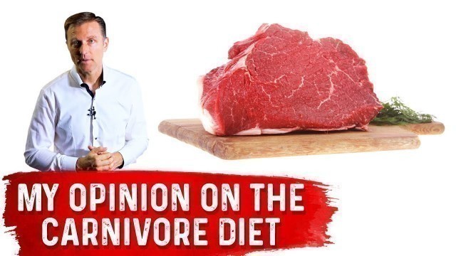 'Dr. Berg\'s Opinion on Carnivore Diet'