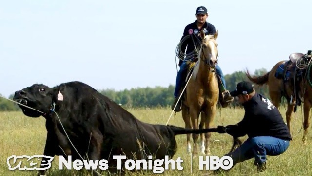 'Meet The Russian Cowboys Beefing Up The Food Industry (HBO)'