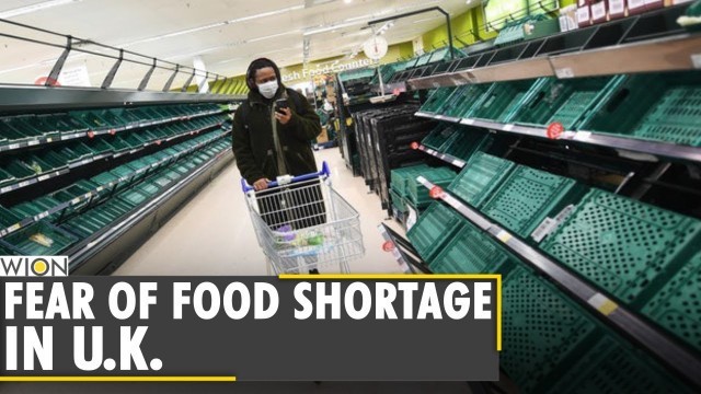 'U.K. warns against food shortage as the food trade deal is about to end | United Kingdom | EU | WION'