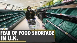 'U.K. warns against food shortage as the food trade deal is about to end | United Kingdom | EU | WION'