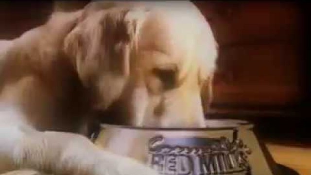 'Connolly\'s RED MILLS Winner TV Advert'