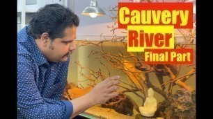 'Indian Biotope Aquarium | Cauvery River | Feeding the Fish, Mayur Dev\'s tips | Aquascape Light Ideas'