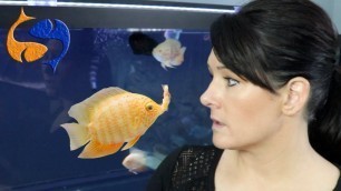 'Feeding Aquarium Fish How Much And How Often? Don\'t Over Feed Fish! Fixing My Worst Video!'