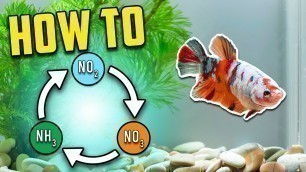 'Best Nitrogen Cycle Guide for Beginners (Different Methods Explained)'