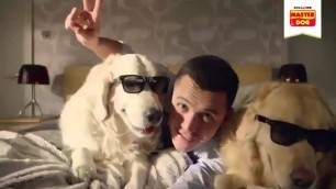 'Alexis Sanchez shows his love for dogs in a new advert for dog food'