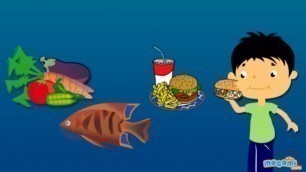 'Where does Food come from? Facts and Fiction - Science for Kids | Educational Videos by Mocomi'