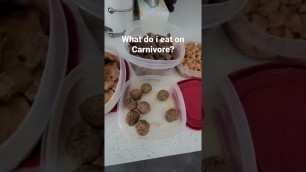 'how to eat on carnivore diet'