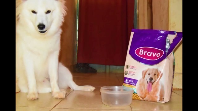 'Bravo Dog Food Advert'