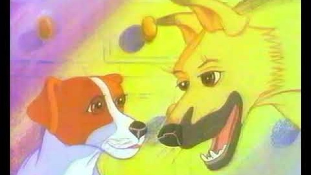'Bobtail Dry Dog Food 1990\'s TV advert'