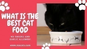 'Cat Food : Top Best Cat Food'