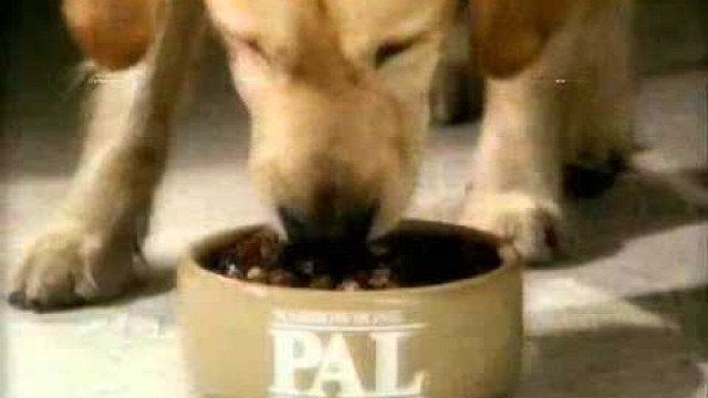 '80s advert PAL dog food ad1'
