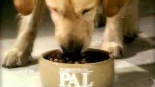 '80s advert PAL dog food ad1'