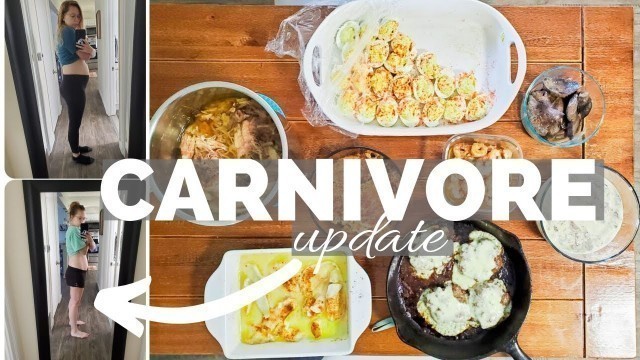 'CARNIVORE DIET UPDATE [no more bloat!] + Meal Prep w/Me'
