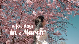 'a few days in March // VLOG // photoshoot, drawing, food'