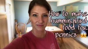 'How to Make HummingBird Food for Pennies 