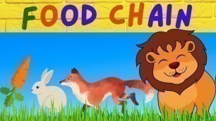 'Let\'s Learn All About The Food Chain | Video For Kids | Tiny Fun Learning'