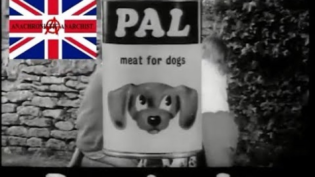 'PAL Dog Food Advert 1962'