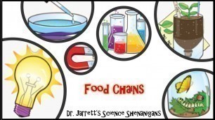 'Food chains for Kids'
