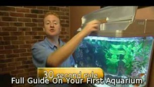 'How to Feed Fish in your Aquarium (Beginners How To Guide)'