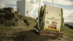 'Harringtons TV Advert 2018'