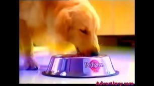 'Pedigree - Healthy Dogs Get More Cuddles (Advert Jury)'