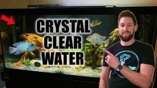 'Crystal Clear Aquarium Water | Tips for Fixing a Cloudy Tank'