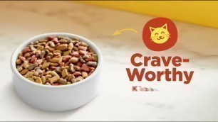 'cat food  , Purepet Cat Food Review | Best Cat Food In India . Meow Mix Original Choice Dry Cat Food'