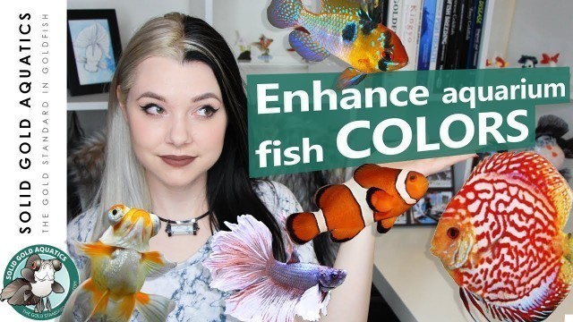 'COLOR ENHANCING Tips for Fish!'