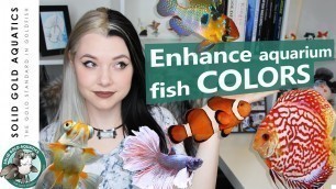 'COLOR ENHANCING Tips for Fish!'