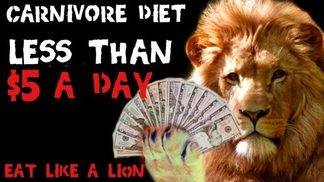 'Carnivore Diet ON A BUDGET | Lose Weight Fast | Eat Like a Lion'