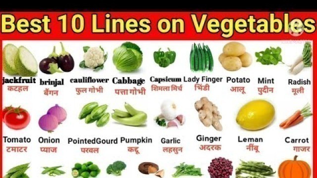 '10 Lines on Vegetables in English/Essay on Vegetables for kids/#vegetables'