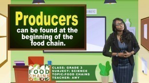 'Science - Grade 3: Food Chain'