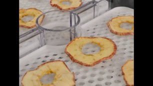 'How To Make Dried Apple - 3mm - Himmel Food Dehydrator V2'