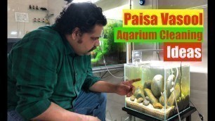 'How to Clean a Fish Tank | SIMPLE & EASY | Cleaning Up your Fish Tank Planted Aquarium Maintenance'