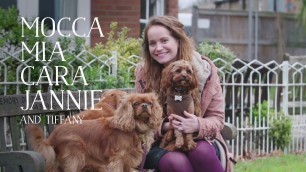 'Butcher\'s Food for Dogs TV Advert - Behind the Scenes - Tiffany, Mocca, Mia, Cara and Jannie'