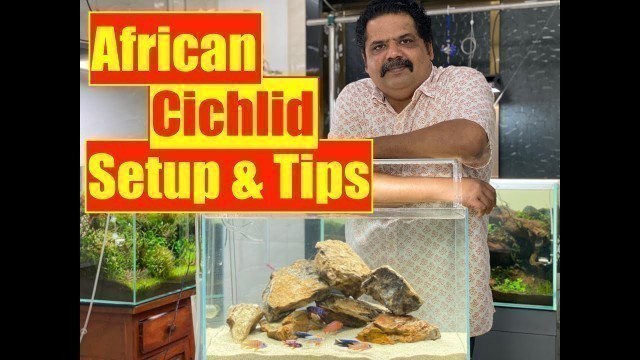 'African Cichlid Fish | How to Setup an Aquarium  | Mayur Dev\'s Tips on Cichlid Fish Keeping |HD1080p'